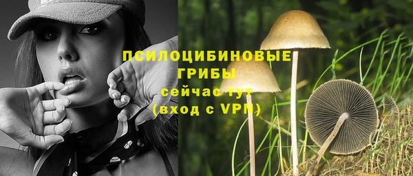 стаф Майский